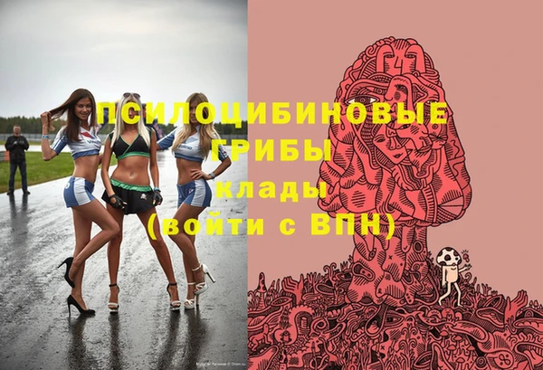 не бодяженный Дмитров