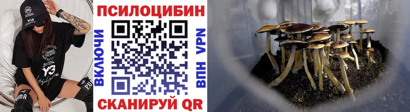 Галлюциногенные грибы прущие грибы  где найти наркотики  Тогучин 