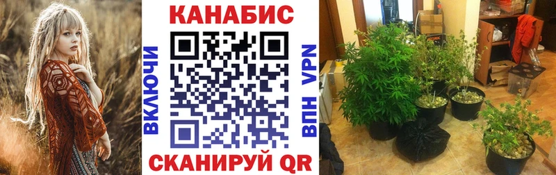 Шишки марихуана Bruce Banner  купить  цена  блэк спрут ТОР  Тогучин 